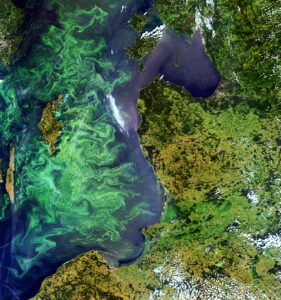 Envisat image of a phytoplankton bloom in the Baltic Sea - © ESA, CC BY-SA 3.0 IGO